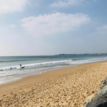 Le Courlis - Evasion Sur La Corniche Vendeenne *
